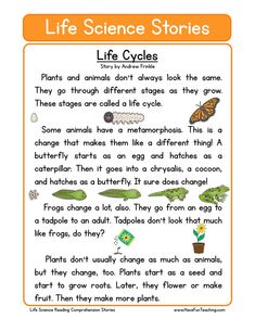 the life cycle worksheet for kids to learn how to use plants and animals