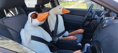 two stuffed animals sit in the back seat of a car, one is wearing a penguin costume