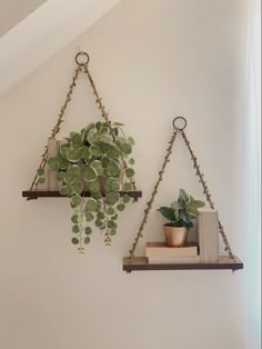 two hanging shelves with plants and books on them