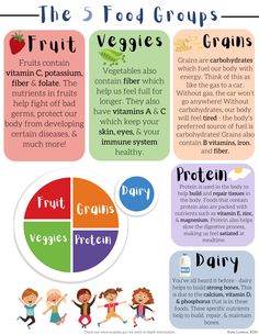 Elementary Nutrition Activities, 5 Food Groups For Kids, Nutrition Activities For Kids, Food Groups For Kids, Healthy Food Activities For Preschool, Nutrition Plate, Food Safety And Sanitation, Healthy Food Activities, Nutrition Poster