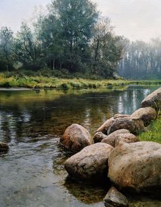 a river running through a lush green forest next to rocks and grass on the shore