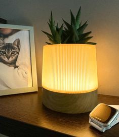 a lamp that is on top of a table next to a cell phone and plant