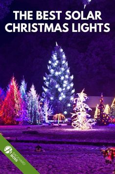 the best solar christmas lights for your home and garden, including trees with colorful lights on them