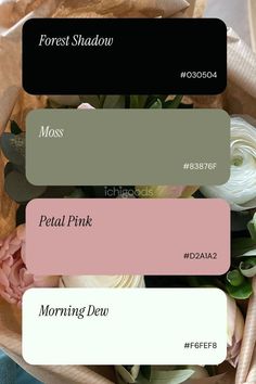 Business Color Schemes Colour Palettes, Stationary Color Palette, Color Palette Calming, Wedding Palletes Colors, Old Money Color Palette Outfit, Neutral Brand Colors, Old Money Wedding Color Palette, Fancy Color Palette, Money Color Palette