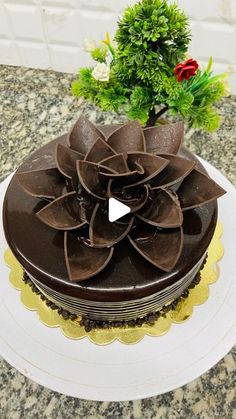 a chocolate cake sitting on top of a white plate next to a small green plant