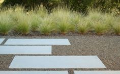 an outdoor walkway with grass and gravel in the middle, surrounded by tall grasses on either side