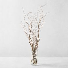 a vase with branches in it sitting on a table