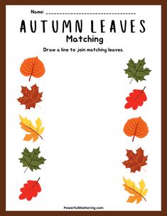 an autumn leaves matching activity for kids