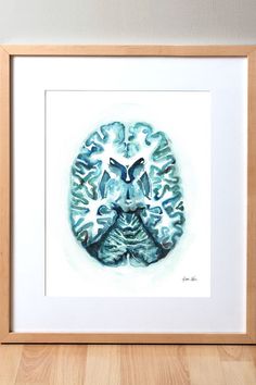 Framed watercolor painting of a transverse cut of the brain. Neurology Art, Cerebral Cortex, Biology Art, Brain Art, Nerve Cell, Medical Art, Neurology, Anatomy Art, The Brain