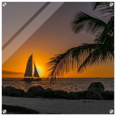 a sailboat is sailing in the ocean at sunset with palm trees on the shore