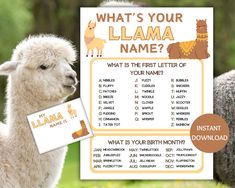 a llama baby shower sign with its name on it and an image of a llama in the background