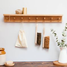 three brooms and two brushes hanging on a wooden shelf next to a potted plant