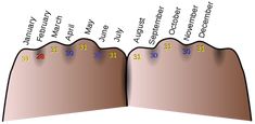 an image of the anatomy of the lower and upper layers of the human body with numbers on them