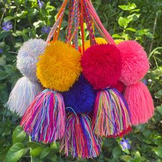 multicolored pom - poms hanging from a tree