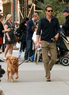 a man walking his dog down the street