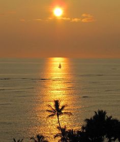 the sun is setting over the ocean with palm trees in front of it and a sailboat on the water