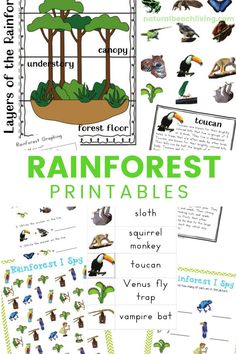 rainforest animals and plants with the words rainforest printables on it's side