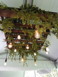 a bunch of lights that are hanging from a ceiling in a tent with plants growing on it