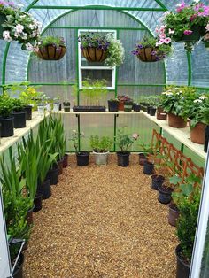 an indoor greenhouse filled with lots of potted plants