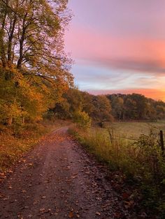 a dirt road surrounded by trees and grass at sunset with the sun setting in the distance