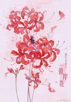 Tattoo Harry Potter, Flowers Japanese, Lilies Drawing, Lily Wallpaper, Red Spider Lily, Asian Flowers, Lily Painting, Flower Art Drawing, Painting Flower