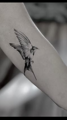 a black and white photo of a small bird tattoo on the right arm, with wings spread out