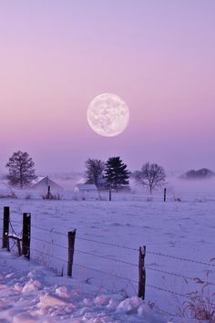 the full moon shines brightly over a snowy field with barbed wire fence and trees