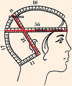 an image of a woman's head with the lines drawn out to show her hair