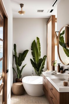 a bath room with a large plant in the corner and a big mirror on the wall