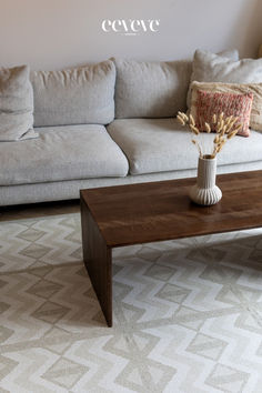 a living room with a couch, coffee table and pillows on the carpeted floor