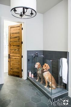 two dogs are sitting in the bathtub next to each other