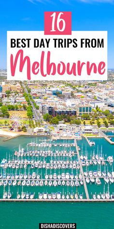 boats in the water with text overlay that reads 16 best day trips from melbourne