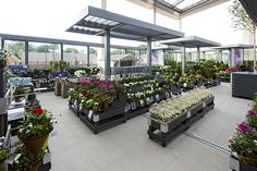 the inside of a flower shop filled with lots of potted plants