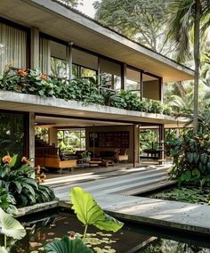 the house is surrounded by tropical plants and water features large windows that let in natural light