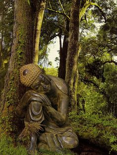 a statue sitting in the middle of a forest next to some trees and grass with moss growing on it