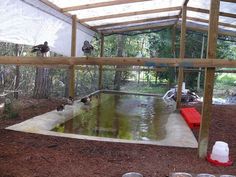 several ducks are swimming in a pond inside a building that is surrounded by wood planks