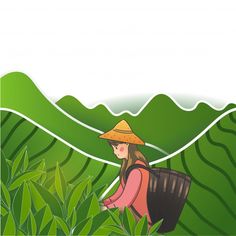 a woman in a straw hat is walking through the grass with a bag on her back