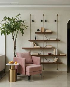 a living room filled with furniture and a potted plant