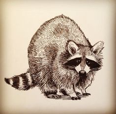 a drawing of a raccoon sitting on the ground