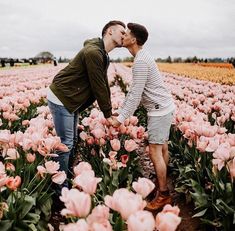 two men kissing in a field of tulips with one holding the other's hand