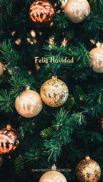 a christmas tree with ornaments hanging from it's branches and the words feliz ha