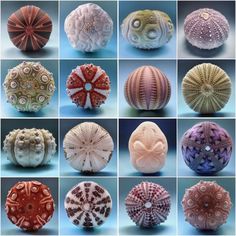 many different types of sea urchins in various colors and sizes, all with intricate designs on them