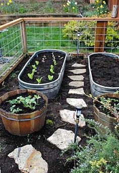 three raised garden beds with plants growing in them