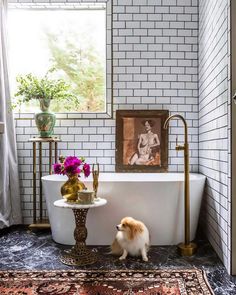 a small dog standing in front of a bathtub