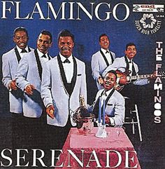 the flamingo album cover shows four men in white suits and black ties, standing behind a table with a pink cloth on it