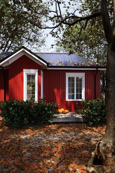 a small red house with white windows surrounded by trees and leaves on the ground in front of it