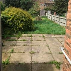 an empty backyard with grass growing on the ground