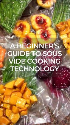 a beginner's guide to sous, video cooking technology book cover image with text overlay