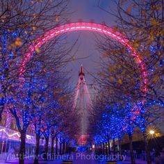 the london eye lit up at night with trees and lights in the foreground, england