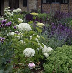 the garden is full of different types of flowers and plants, including hydrangeas